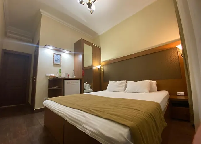 Boomerang Business 3*